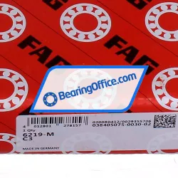FAG 6219-M-C3 rulman resim 5