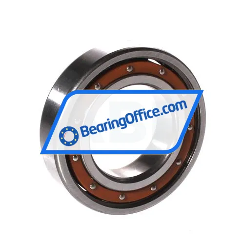 FAG 6006-TB-P6-C3 bearing image 2