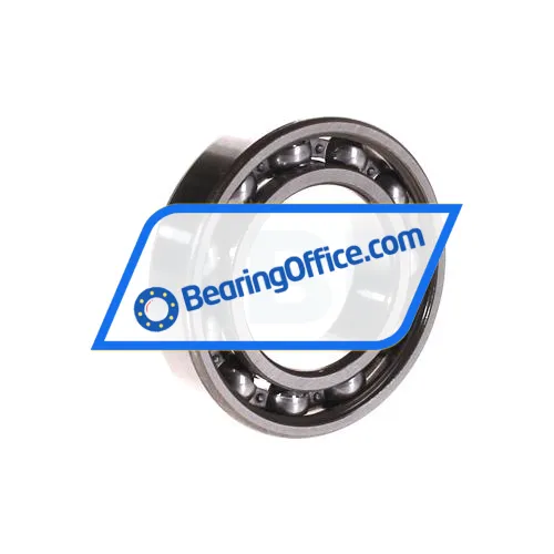 FAG 6007-C3 bearing image 2