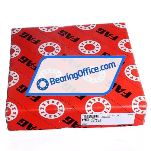 FAG 6319-2Z bearing image 3