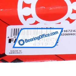 FAG 6319-2Z rulman resim 4