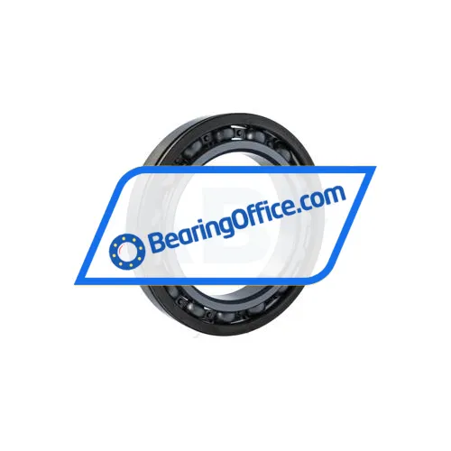 FAG 6024-N bearing image 2