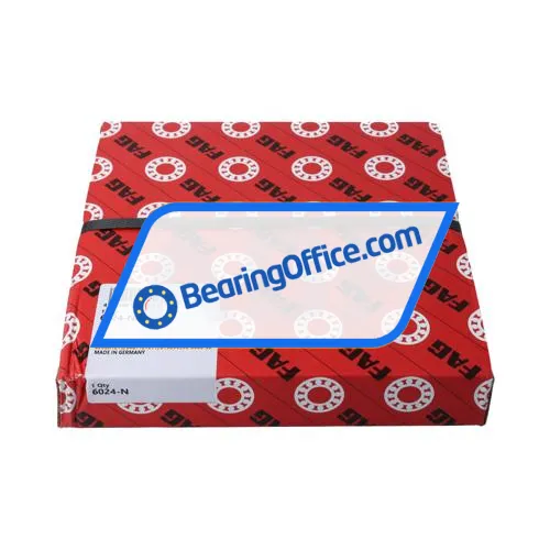 FAG 6024-N bearing image 3