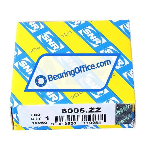 SNR 6005Z bearing image 2