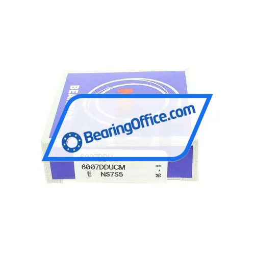 NSK 6007DDU bearing image 2