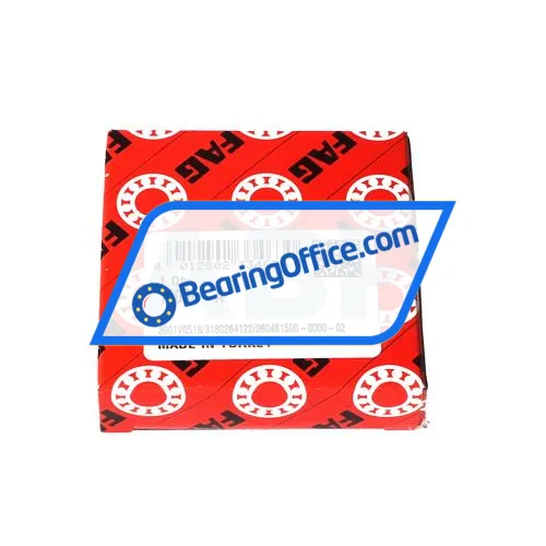 FAG 16006-A bearing image 3