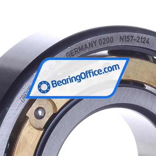 FAG 6310-C-M bearing image 2