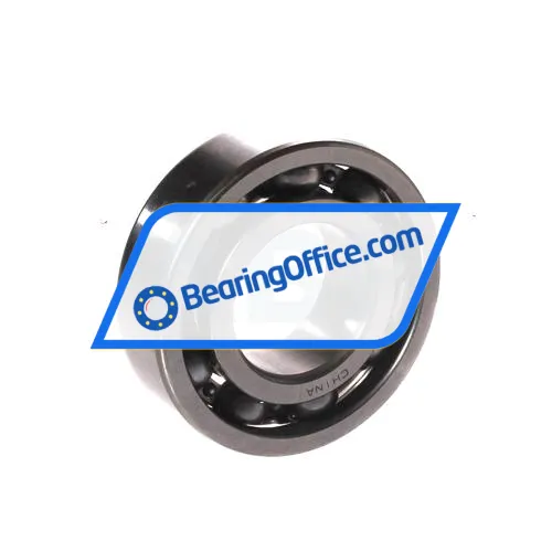 NTN 6004 bearing image 2