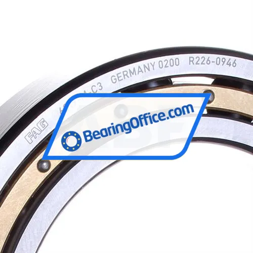FAG 6019-M-C3 bearing image 2