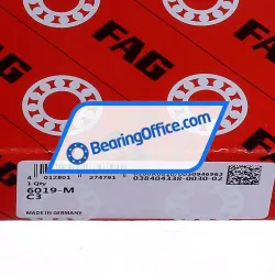 FAG 6019-M-C3 rulman resim 5
