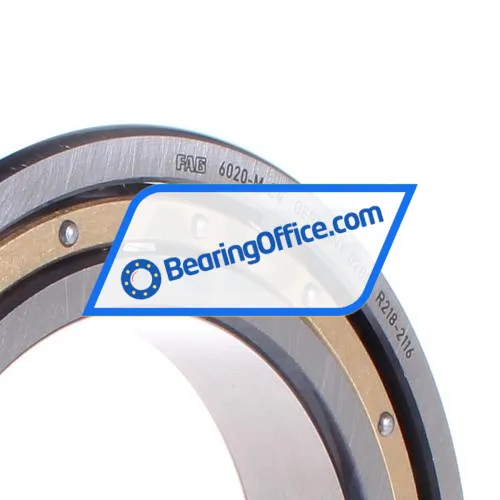 FAG 6020-M-C4 bearing image 2