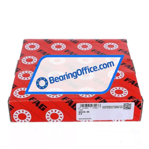 FAG 6020-M-C4 bearing image 3