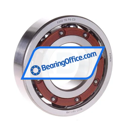 FAG 6309-TB-P6-C3