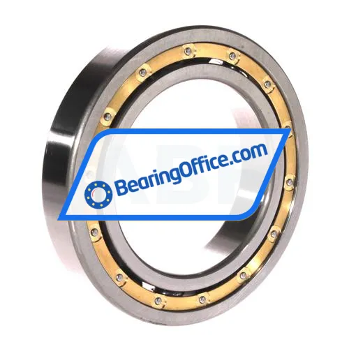 NSK 6016M C4 bearing image 2