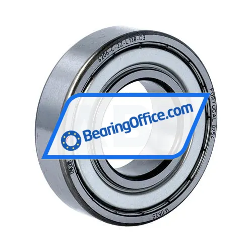 FAG 6206-C-2Z-L138-C3