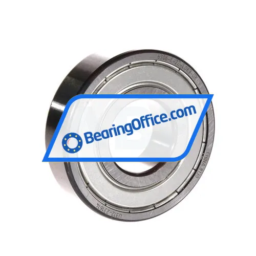 FAG 6306-C-2Z-L069-C3