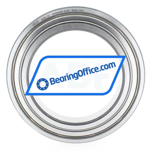 FAG 6024-2Z bearing image 3