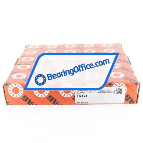 FAG 6024-2Z bearing image 5