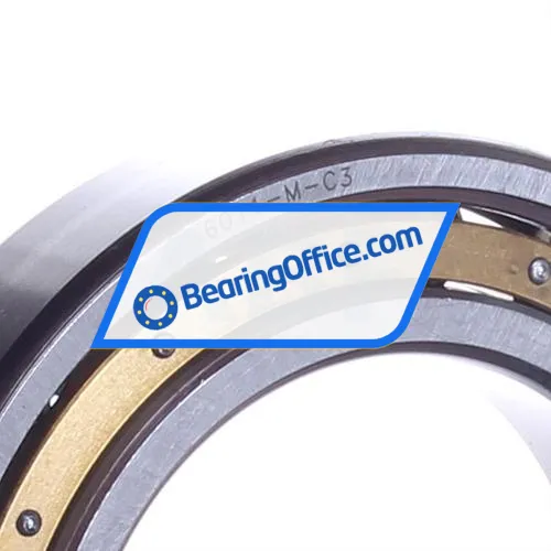 FAG 6011-M-C3 bearing image 2