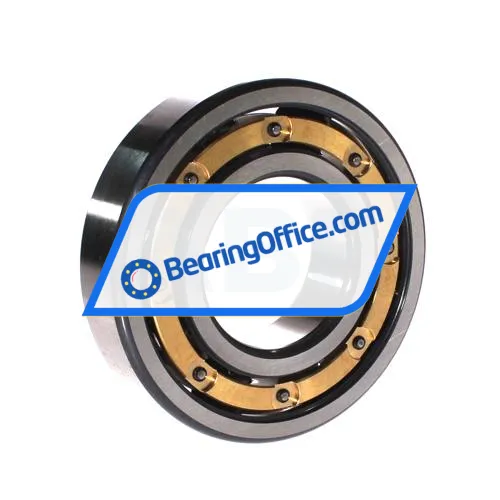 FAG 6312-C-M-C3 bearing image 2