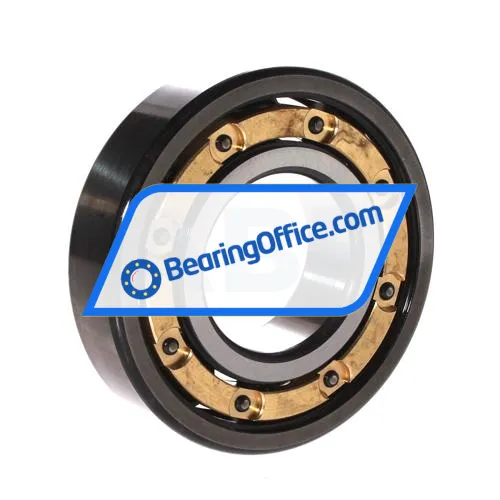 FAG 6310-C-M-C4 bearing image 2