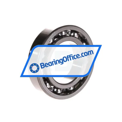 NTN 6007U1 bearing image 2