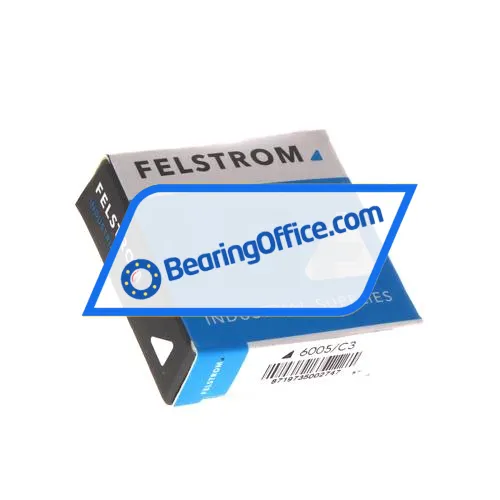 Felstrom 6005/C3 bearing image 3