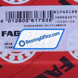 FAG 6406-A-C3 rulman resim 5