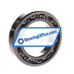 Felstrom 6010/C3 rulman resim 2