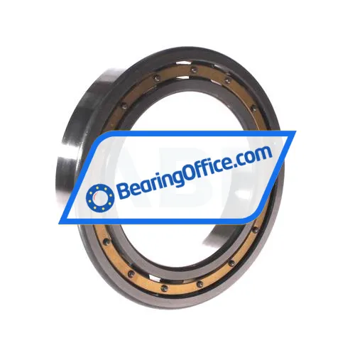 FAG 6021-M-C4 bearing image 2