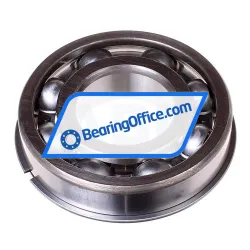 Nachi 6310NR C3 rulman resim 2