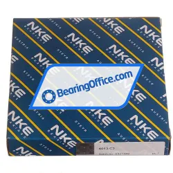 NKE 6013-C3 rulman resim 4