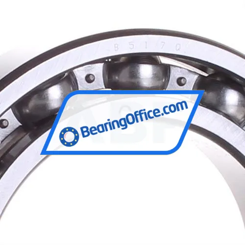 NKE 6016C3 bearing image 2