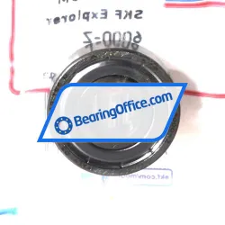 SKF 6000-Z