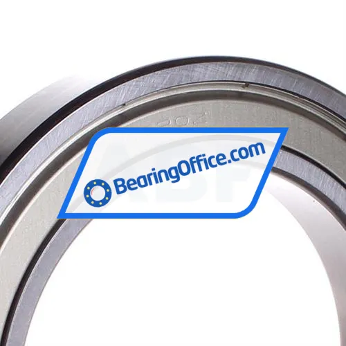 NSK 6020ZZ bearing image 2