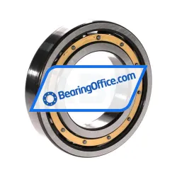 SKF 6313/C3VL0241 rulman resim 2