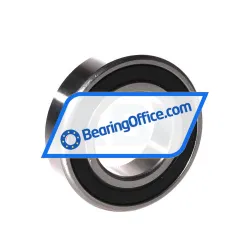 ZKL 6004 2RS C3 rulman resim 2