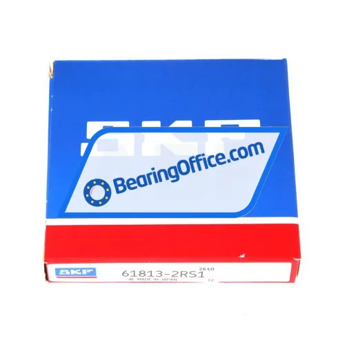 SKF 61813-2RS1 bearing image 3