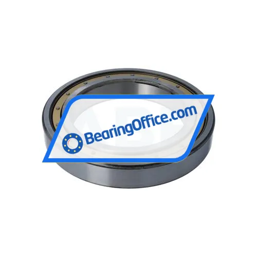 SKF 6030M/C4 bearing image 2