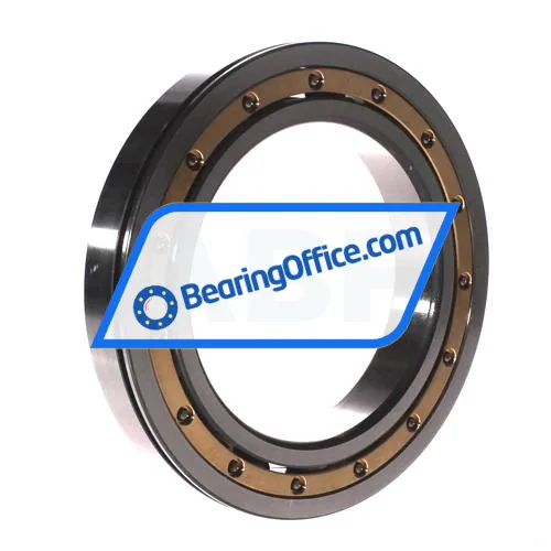 FAG 6024-N-MA-C3 bearing image 2