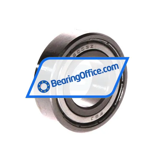 FBJ 6003ZZ bearing image 2