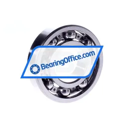 Bing Netherlands 6310 rulman resim 2