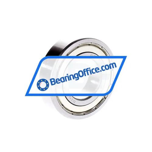 Bing Netherlands 6206ZZ C3