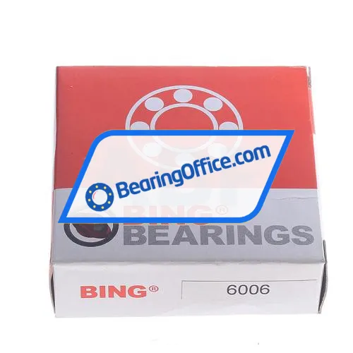Bing Netherlands 6006 bearing image 4