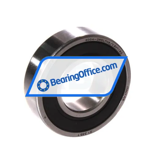 SKF 6004-2RSLTN9/C3VT162