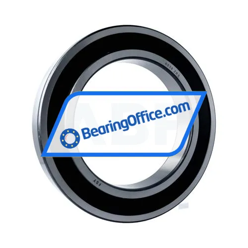 FSY (China) 6038 2RS