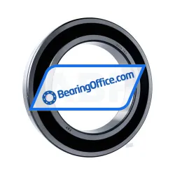 FSY (China) 6038 2RS