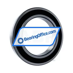 FSY (China) 6038 2RS rulman resim 2