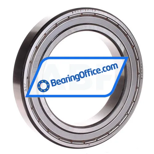 SKF 6020-2Z/C3