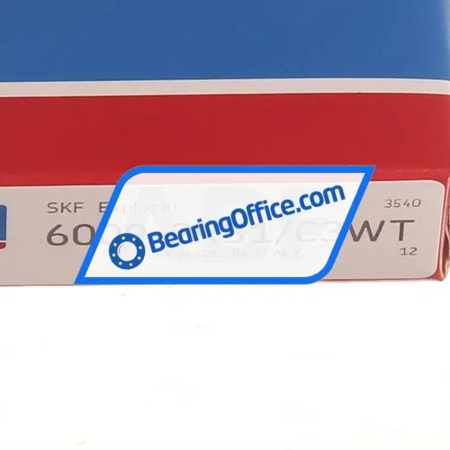 SKF 6009-2RS1/C3WT bearing image 4